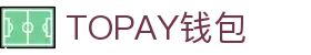 TOPAY钱包 - 安全便捷的个人财务管理工具
